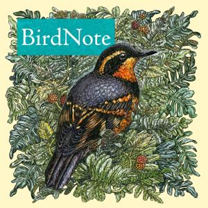 BirdNote Daily by BirdNote