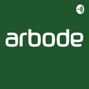 Arbode: Over de RI&E