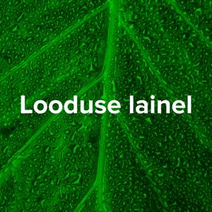 Looduse lainel