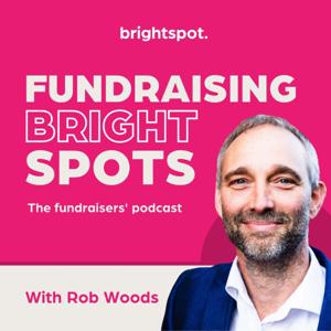 Fundraising Bright Spots