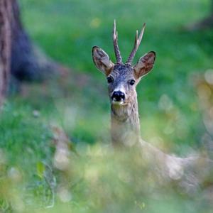 Environnement - Sanef 107.7