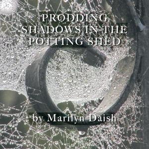 Prodding Shadows in the Potting Shed