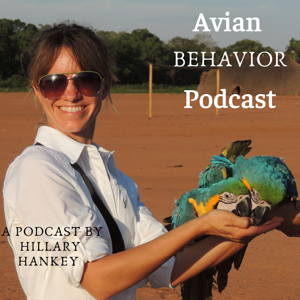 The Avian Behavior Podcast by Hillary Hankey