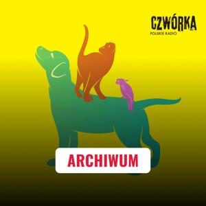 Animalsi | Czwórka