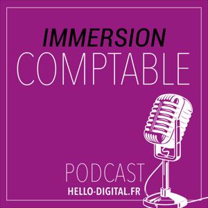 Immersion Comptable by Élisabeth Albuquerque