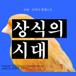 상식의 시대