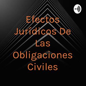 Efectos Jurídicos De Las Obligaciones Civiles