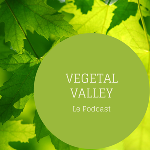 Vegetal Valley - Entrepreunariat local à Liège