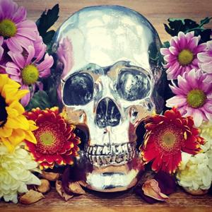 Punk Rock Health Podcast
