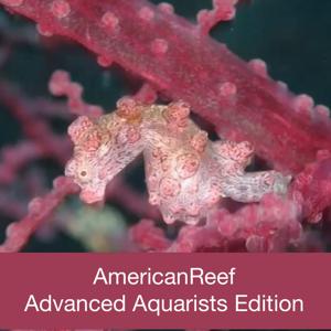 Americanreef - Keeping Saltwater and Coral Reef Aquariums by Learning from Advanced Aquarists by americanreef@me.com