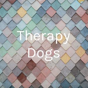 Therapy Dogs by Dawrin Mota [Bailey MS]