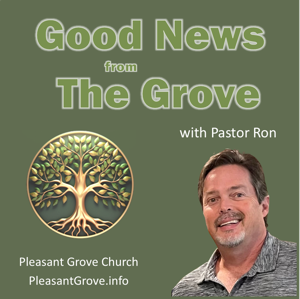 Good News from The Grove