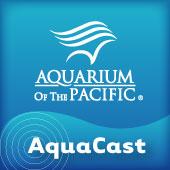 Aquarium of the Pacific AquaCast by Aquarium of the Pacific