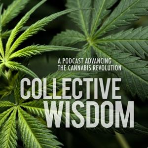 Collective Wisdom