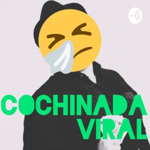 COCHINADA VIRAL