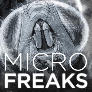 MicroFreaks (HD)