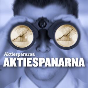 Aktiespanarna