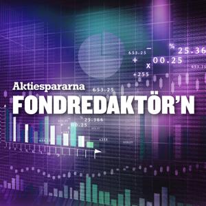 Fondredaktör'n