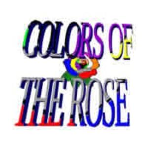 Colors Of The Rose