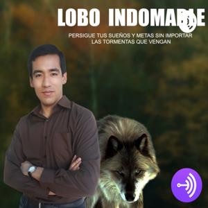 Lobo Indomable