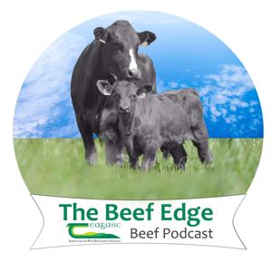The Beef Edge by Teagasc