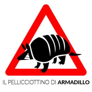 Il pellicciottino di Armadillo