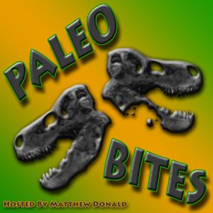 Paleo Bites