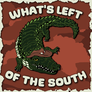 What's Left of the South