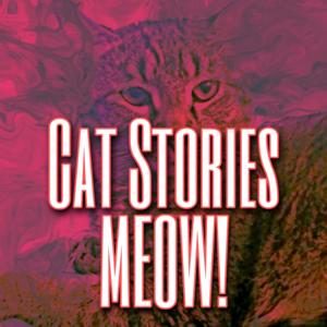 Cat Stories Meow!