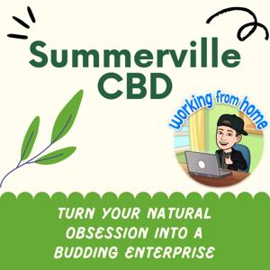 Summerville CBD - with Alan Lawson