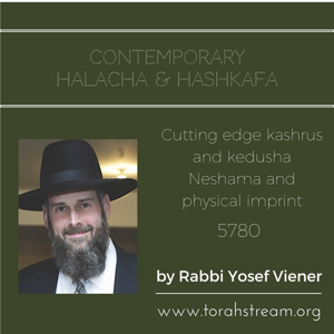 Contemporary Halacha and Hashkofa, 5780