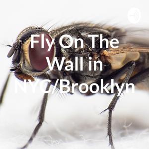 Fly By Nando’s Wall Recordings