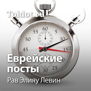 Рав Элияу Левин  — Еврейские посты, фонограммы видеоуроков