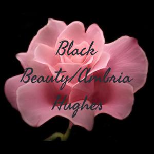 Black Beauty/Ambria Hughes