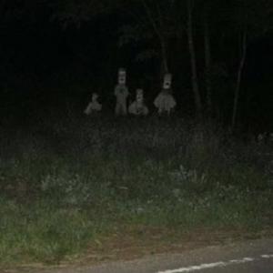 Scary Stories To Keep You Up At Night