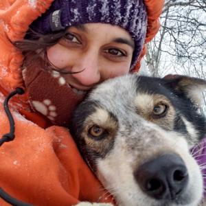 Sled Dog Podcast