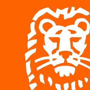 ING Sector inzichten