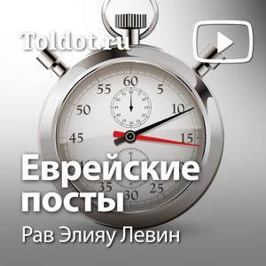 Рав Элияу Левин  — Еврейские посты