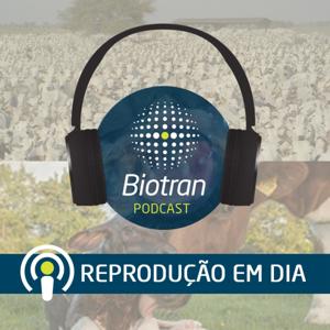 Biotran - Reprodução em dia