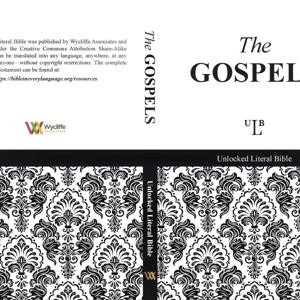 Unlocked Literal Bible - Audio