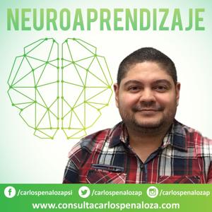 Neuroaprendizaje