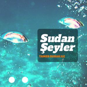 Sudan Şeyler