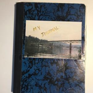 LILY’S HIGH SCHOOL JOURNAL