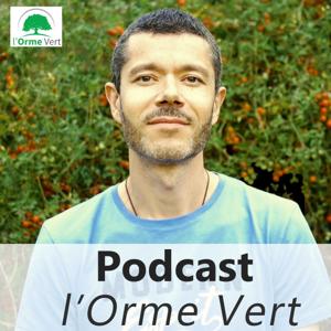 David Orme Vert by David Orme Vert