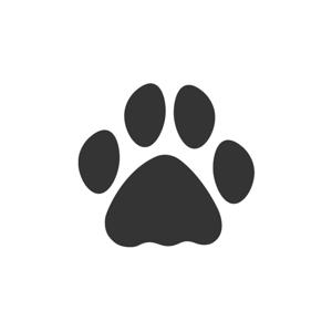 The Safari.com Podcast