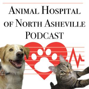 Animal Hospital of North Asheville Podcast