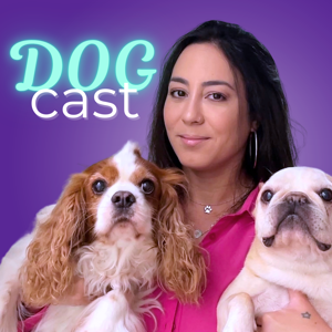 DogCast