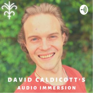 David Caldicott’s Audio Immersion