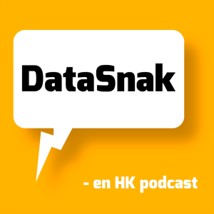 DataSnak