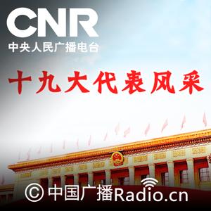 十九大代表风采